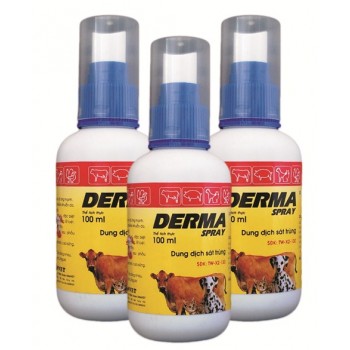 DERMA SPRAY